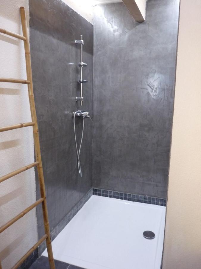 Appartement 1Ch Et Mezzanine Sarras Ngoại thất bức ảnh
